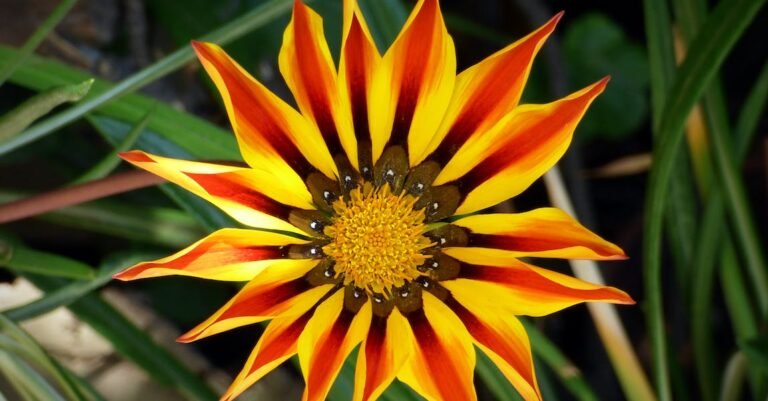 Enjoy A Sexy New Look With This Advice