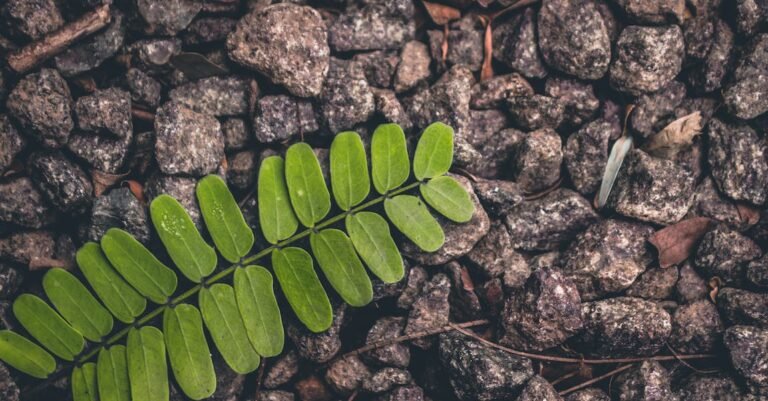 Advice To Help You Look Vibrant And Young