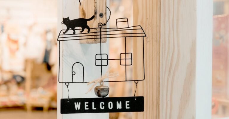 Confused Cat Owner? This Article Will Help!